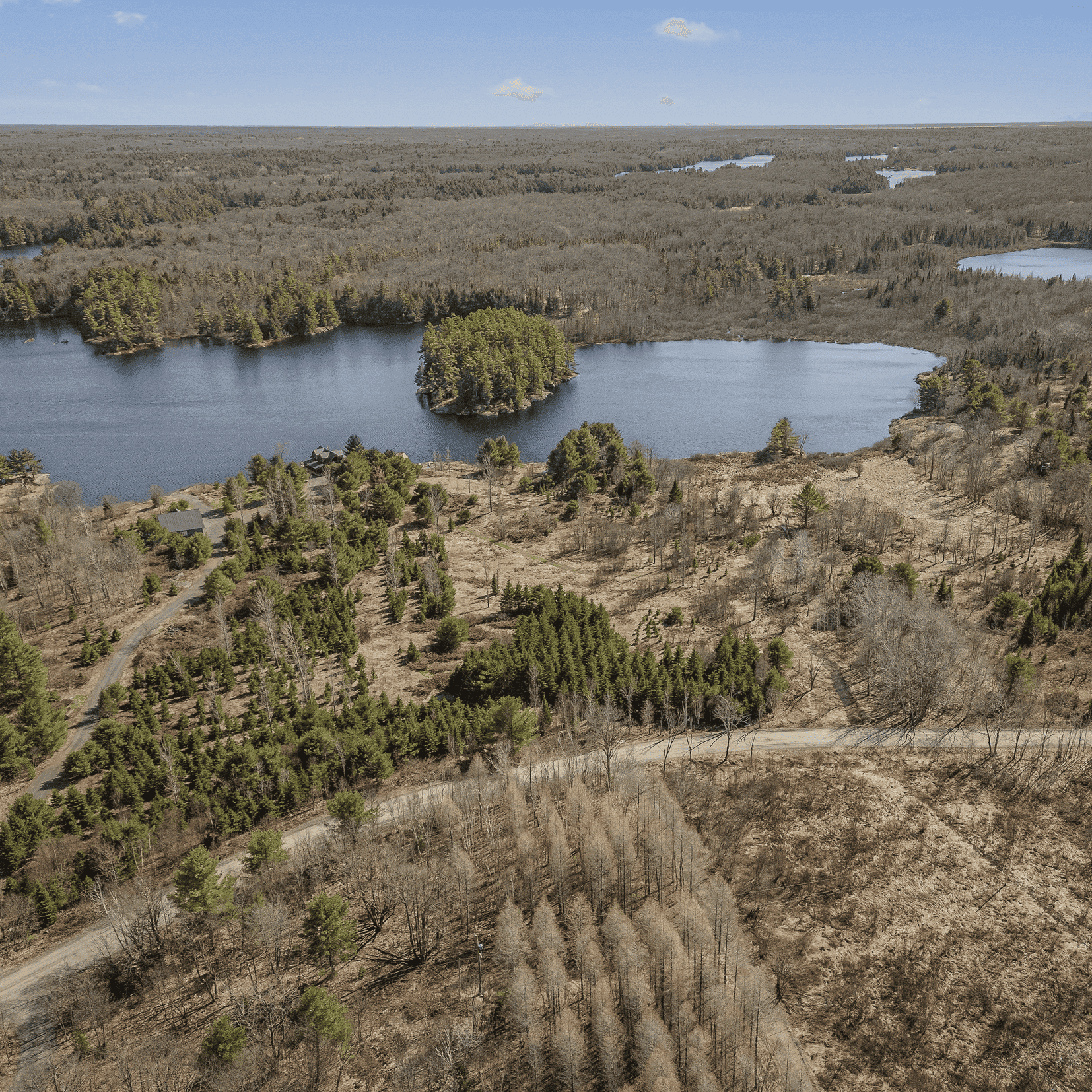Aerial view of a forested landscape with a curving dirt road, a lake with a tree-covered island, and scattered buildings near the water.