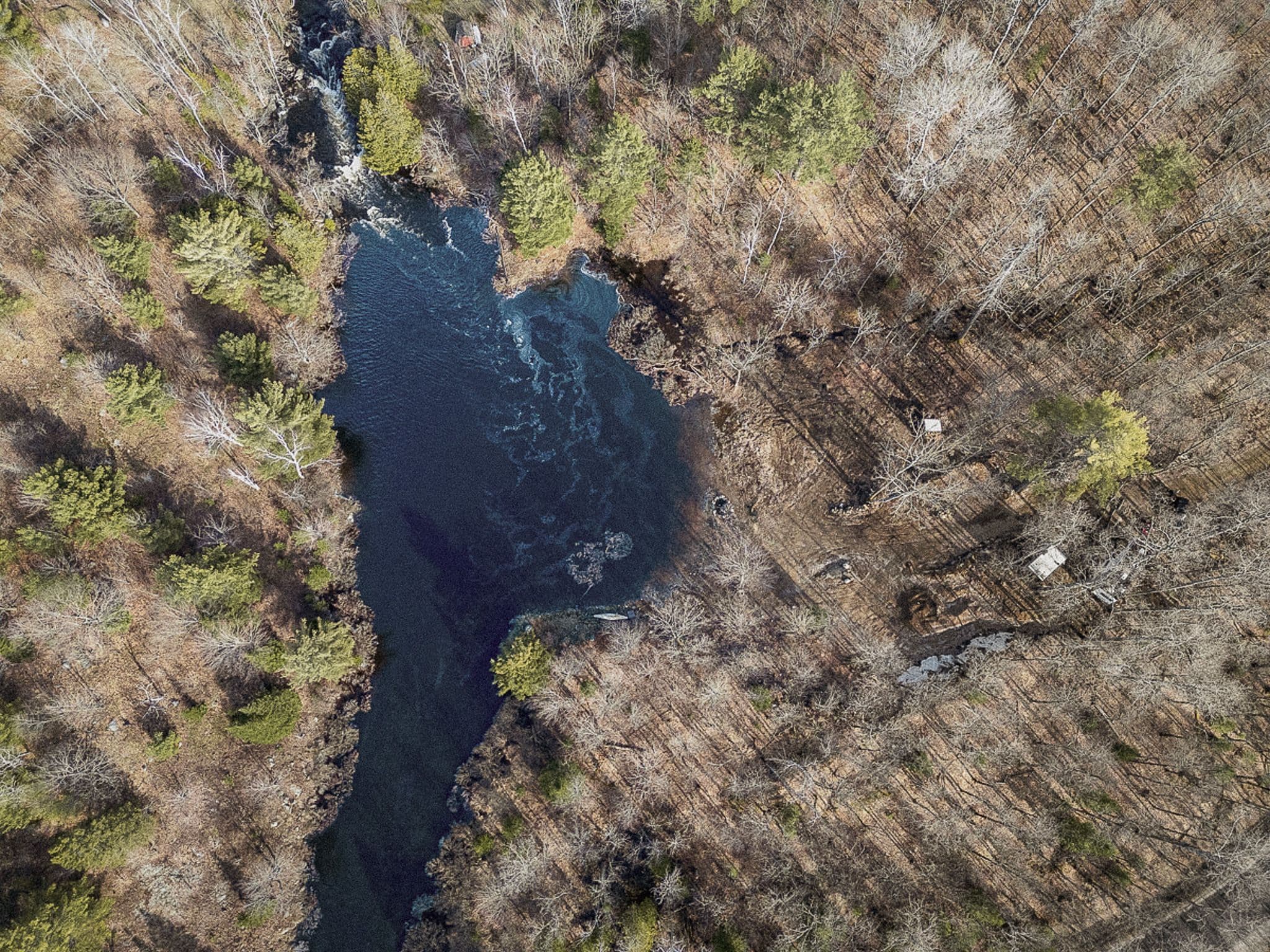 Wooded private land at 699 Bunny Trail in Whitestone, Ontario